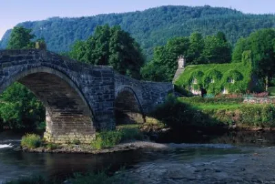 country scene