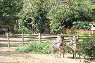 Zoologico de cali Colombia