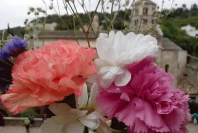 Temps de Flors 2014