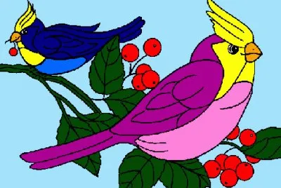 PÃ¡ssaros jigsaw puzzle