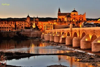 פאזל של puente romano cordoda