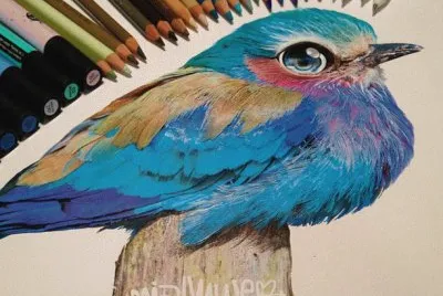 - desenho.
