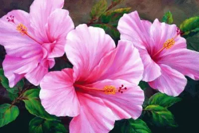Pink Flowers jigsaw puzzle