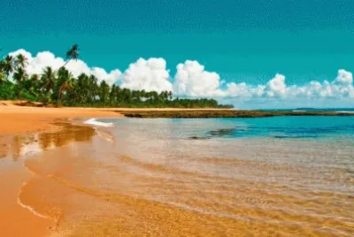 פאזל של Camamu - Bahia