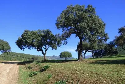 RUMBO AL PANTANO DE LOS HURONES