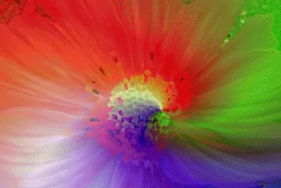Flower Centre jigsaw puzzle