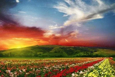 Lovely Nature Landscape jigsaw puzzle