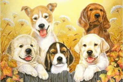 Pintura
