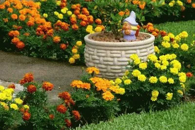 Duende no jardim