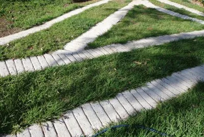 caminos