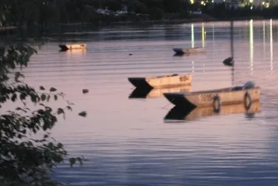 Doryboats at dusk