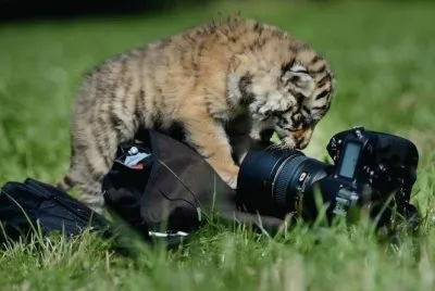 Â¿cÃ³mo me tomo la foto?