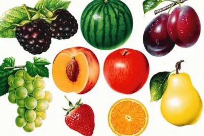FRUTAS