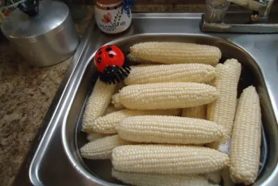 Corn brush 2