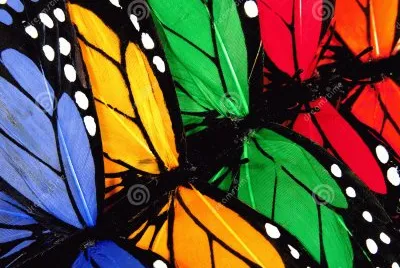 פאזל של mariposas
