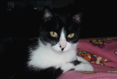 Azulita 2 jigsaw puzzle