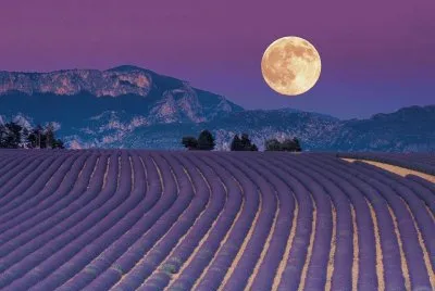 paisaje jigsaw puzzle