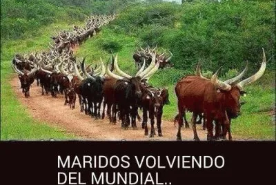 HUMOR JAROCHO. jigsaw puzzle