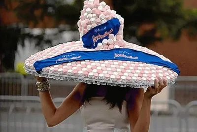 curiositÃ  jigsaw puzzle