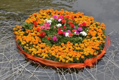 פאזל של Temps de Flors 2014