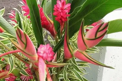 bouquet jigsaw puzzle