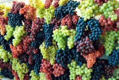 fleurs: raisins jigsaw puzzle