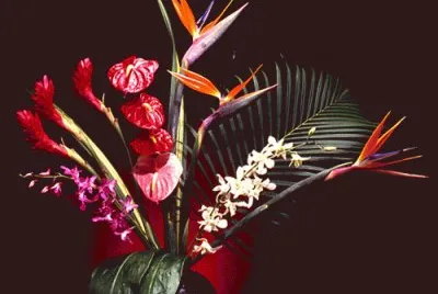 fleurs: jigsaw puzzle