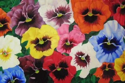 פאזל של Pretty Pansies