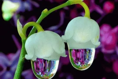 Wonderful