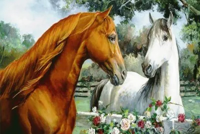 cavalos