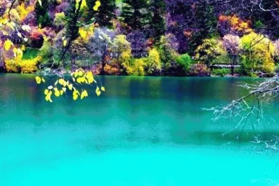 summer- 54 jigsaw puzzle