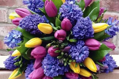 fleurs