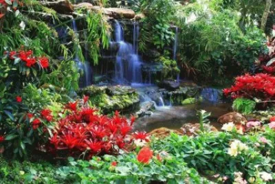 cascade