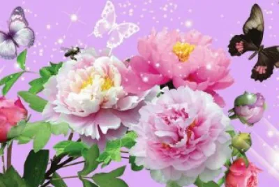 flores