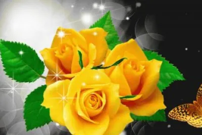 rosas