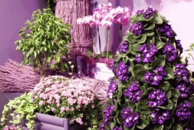 Adornos com flores
