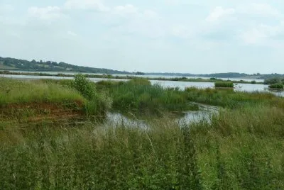 Rutland water