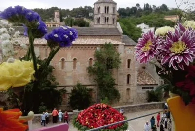 Temps de Flors 2014