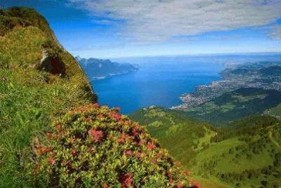 paorama jigsaw puzzle