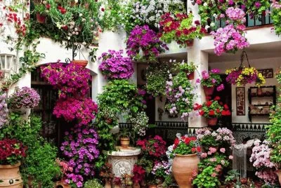 flor jigsaw puzzle
