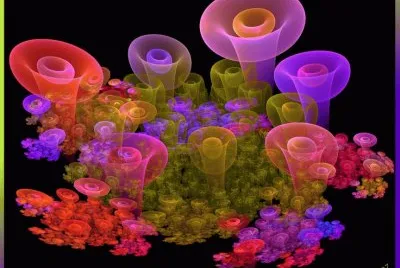 Magical Mushrooms jigsaw puzzle