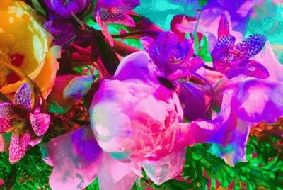 Amazing Colors jigsaw puzzle