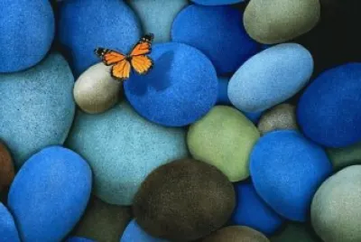 piedras jigsaw puzzle