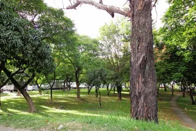 PAISAJE CAMPESTRE