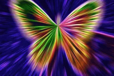The Butterfly jigsaw puzzle