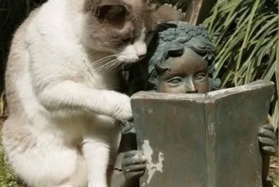 curiositÃ 
