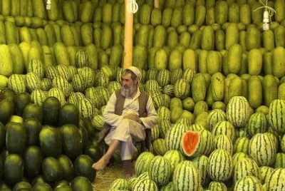 The Melon seller of Kabul  Afghanistan