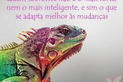 :)