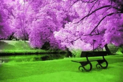 jardin
