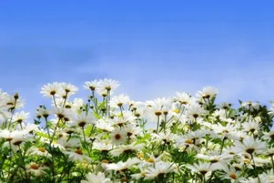 NATURALEZA